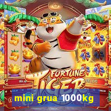 mini grua 1000kg